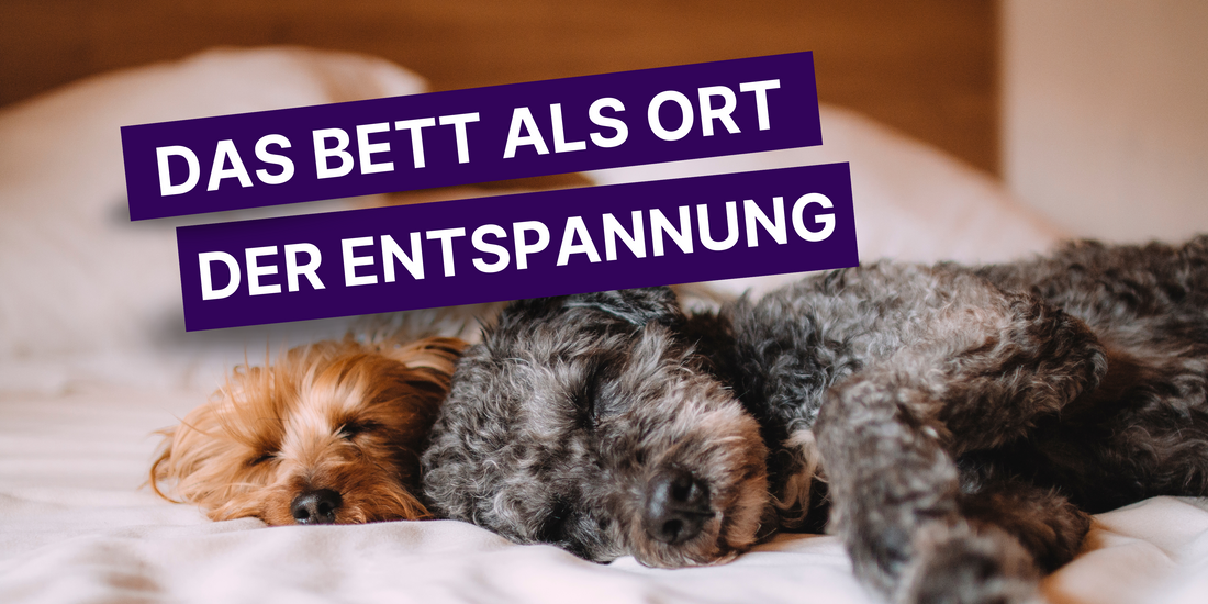 Das Bett als Ort der Entspannung
